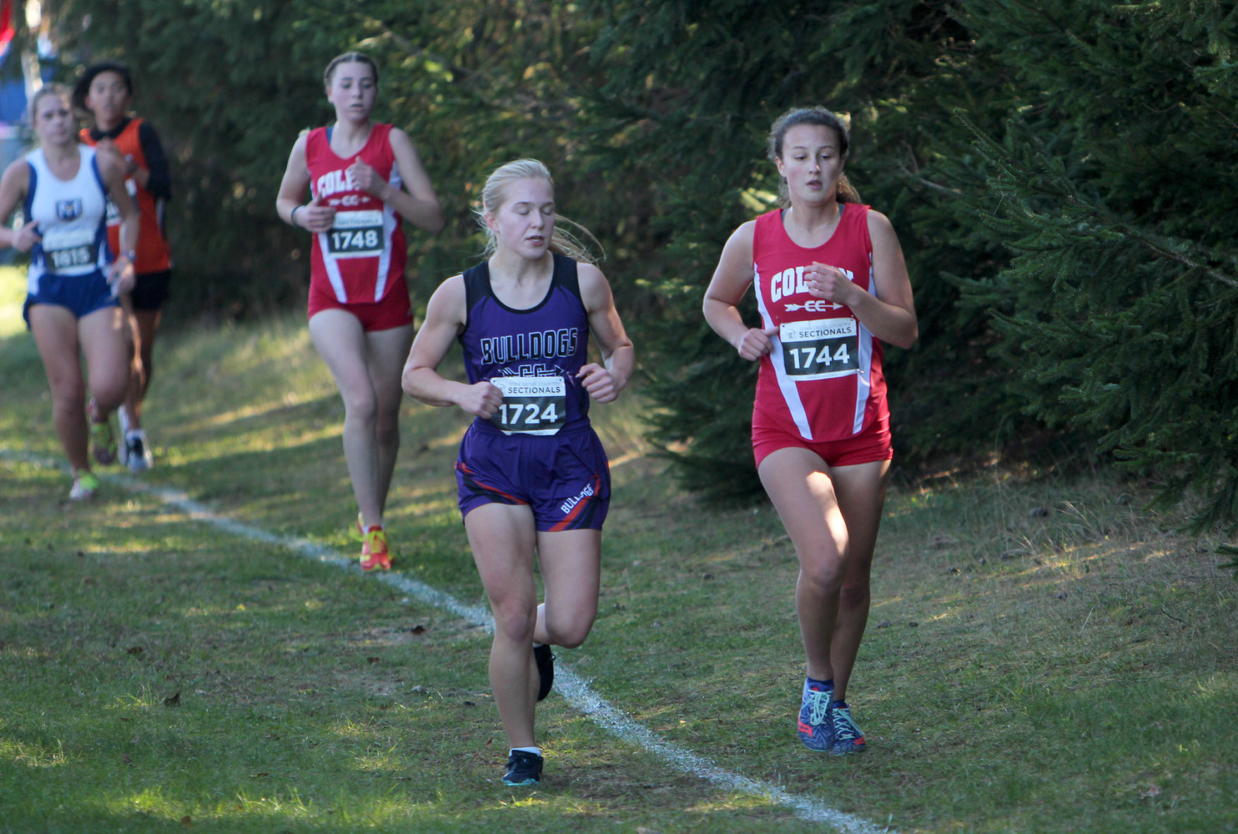 Division 3 Cross Country Sectionals in Boyceville 10-26-19